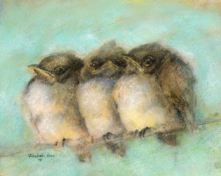 Phoebe Babies