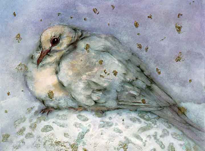 Winter Dove